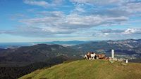 Diputación foral de Bizkaia. Evaluación de impacto ambiental ordinaria del proyecto de parque eólico Artzentales-Sopuerta. Paisaje. INFORME NEGATIVO.