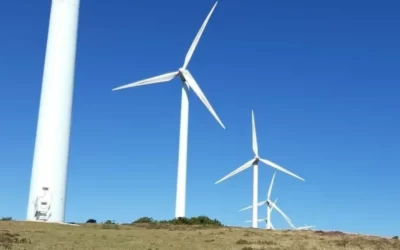«El proyecto del parque eólico Artzentales-Sopuerta se tiene que paralizar»