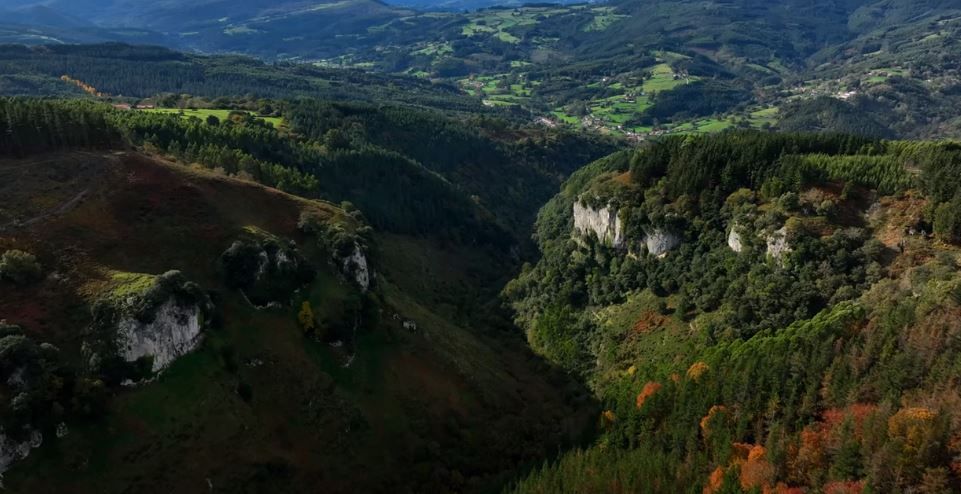 Día Internacional de los Bosques: Enkarterri Bizirik denuncia el impacto de los macroproyectos eólicos