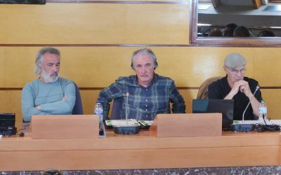 Enkarterri Bizirik Elkartea reafirma su voz en Juntas Generales de Bizkaia, peticiones y futuras decisiones