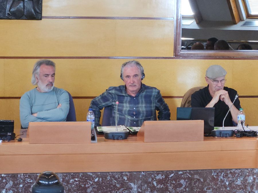 Enkarterri Bizirik Elkartea reafirma su voz en Juntas Generales de Bizkaia, peticiones y futuras decisiones